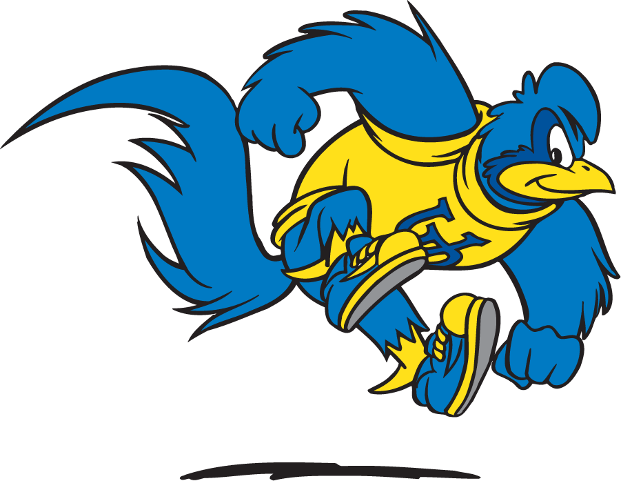 Delaware Blue Hens 1999-2009 Mascot Logo v5 DIY iron on transfer (heat transfer)
